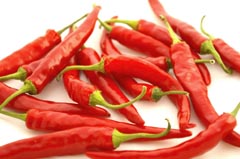 Capsaicin News