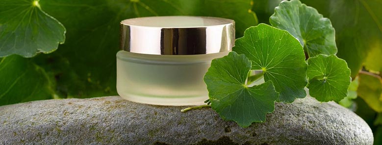 Gotu Kola Facemask