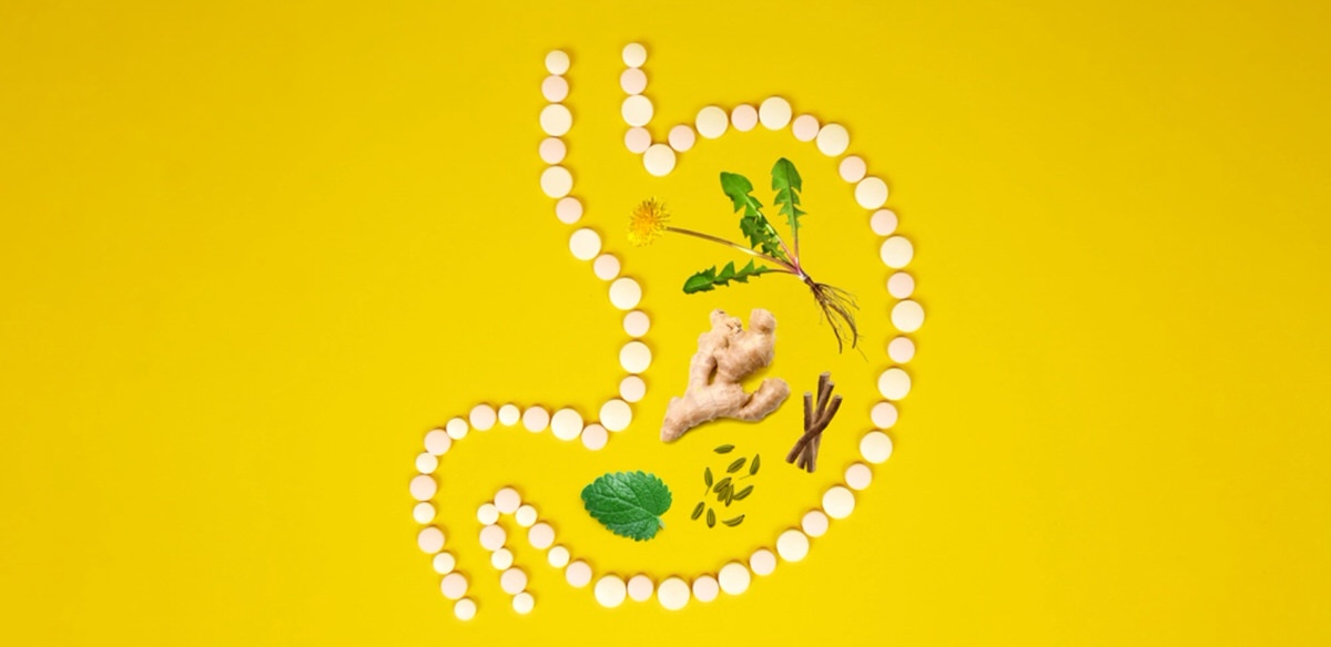 Soothing Digestion Naturally: Herbs for Gut Health and Relief