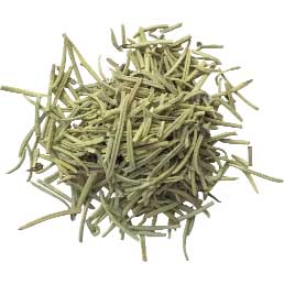 Rosemary