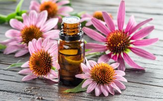 Echinacea oils2