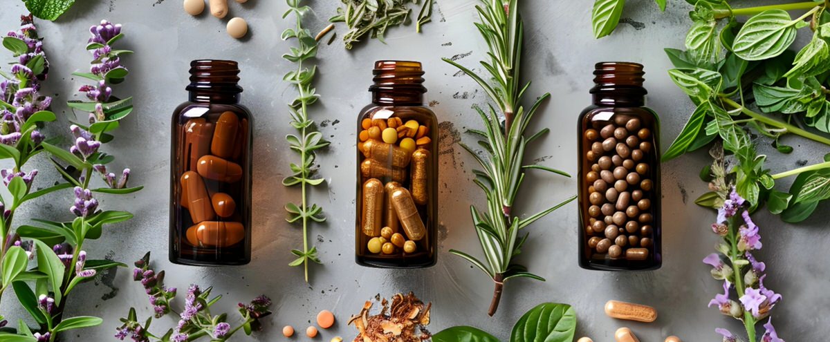 Top 15 Herbal Powders for Supplements & Functional Foods