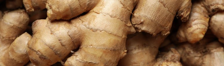Ginger