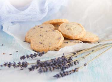 Lavender