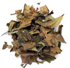 White Tea