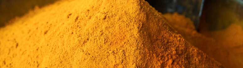 Turmeric Powder