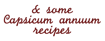 capsicum annuum recipes