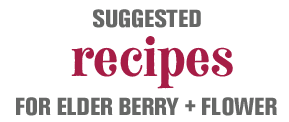 Sample Recipes for The Hedgerow Herb: European Elder