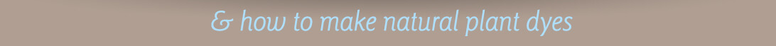 Making Natural Dyes Shadow Header