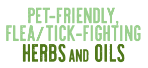 Pet Friendly Flea and Tick Fighting Header