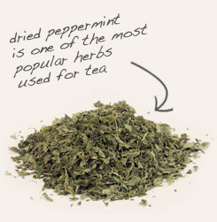 [ tip: Soak whole psyllium seeds in a warm infusion of peppermint to improve flavor.  ~ from Monterey Bay Herb Company ]