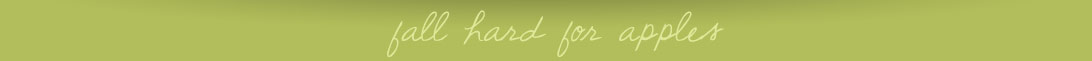 Fall Hard for Apple Shadow Header