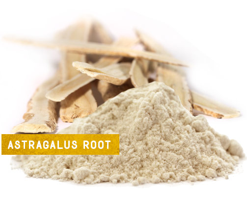 [ Turmeric - The Golden Spice: Pair with Astragalus Root ] ~ from Monterey Bay Herb Company