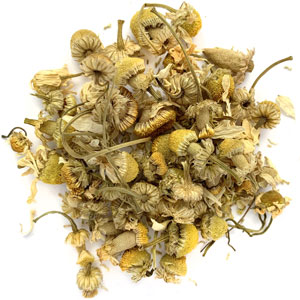 Chamomile (Egyptian)
